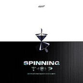spinning top